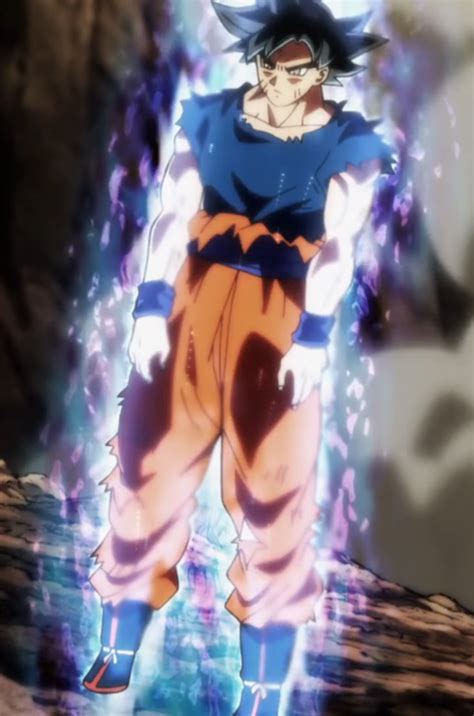 Goku Ultra Instinct Full Body By Sonimbleinim On Deviantart
