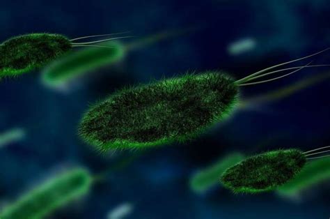 First Clinical Trial Finds Probiotic Treatment With Dead Bacteria Is