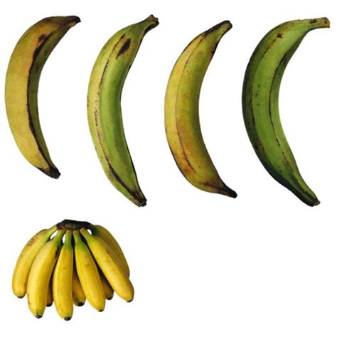 How To Bake A Plantain Or A Banana Healthfully