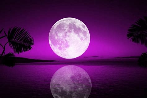 Purple Ocean Wallpapers Top Free Purple Ocean Backgrounds