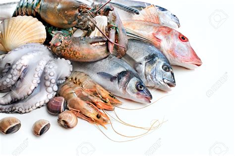 3 Makanan Laut Tinggi Protein