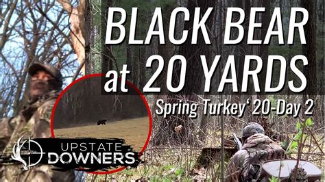 BLACK BEAR 2 GOBBLERS At 20 YARDS 2020 Spring Turkey Day 2