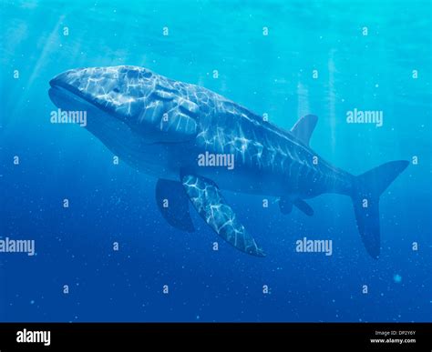 Leedsichthys Prehistoric Fish Artwork Stock Photo Alamy