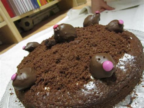 Mole Cake My Daughter Requested For Her Birthday Chocolate Dirt