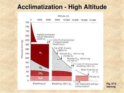 Acclimatization To Altitude Causes Symptoms Treatment