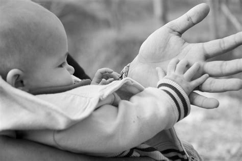 In My Fathers Hand 3 Free Photo Download Freeimages