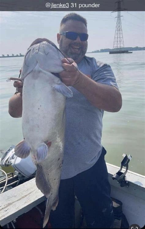 Shared Post Massive Channel Catfish Caught Out Of Sandusky Bay Of