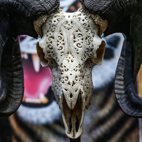 Real Hand Carved Ram Skull Horns Taxidermy Buffalo Longhorns Steer Bull