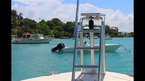 Lillipad Diving Board Video Memugaa