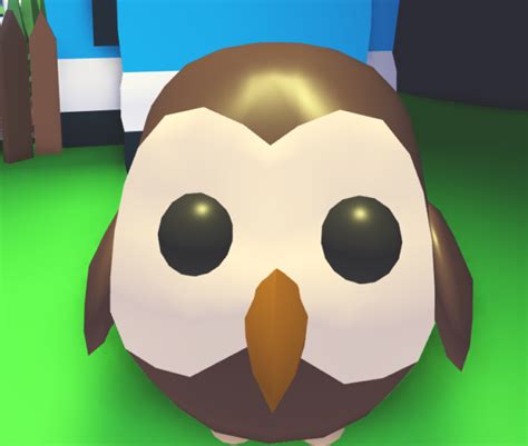 , which was released during the winter holiday event (2020). Roblox Adopt Me! Full Grown Legendary Fly Ride Owl | eBay