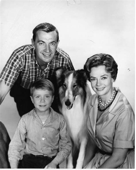 134 Best Timmy And Lassie Images On Pinterest Tv Series Vintage Tv