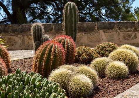 Creating a succulent garden is one way to create beauty in our homes. 48 Succulent Garden Ideas