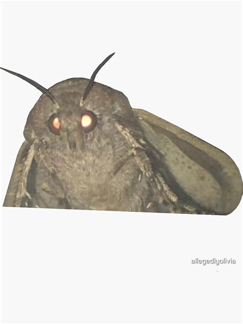 Moth Meme Sticker For Sale By Allegedlyolivia Redbubble