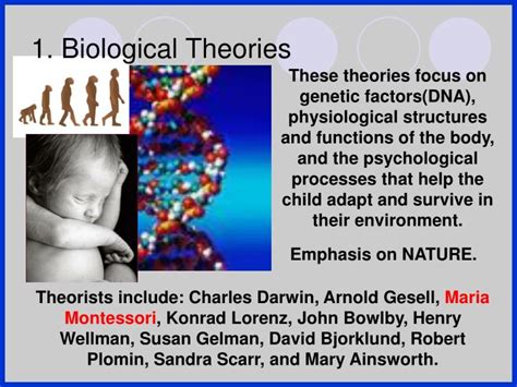 Ppt Theories And Theorists Powerpoint Presentation Id3057616