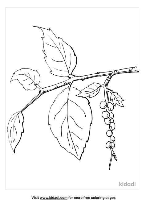 Free Poison Ivy Coloring Page Coloring Page Printables Kidadl