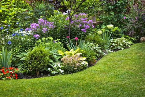 Low Maintenance Flower Beds Planting Perennials Readers Digest