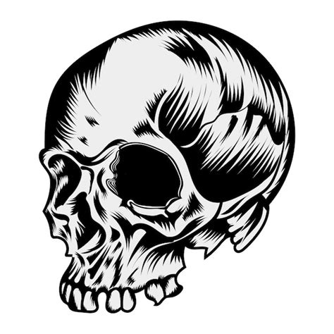 Premium Vector Skull Vintage Style Vector Illustration