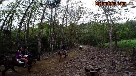 Nauyaca Waterfall Horseback Riding Tour In Costa Rica Youtube