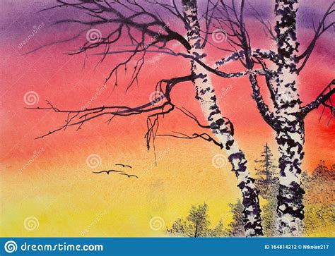 Two Birch Trees And Bright Sunset Stock Photo Image Of Christmas