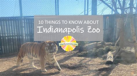 10 Things To Know About Indianapolis Zoo Laptrinhx News