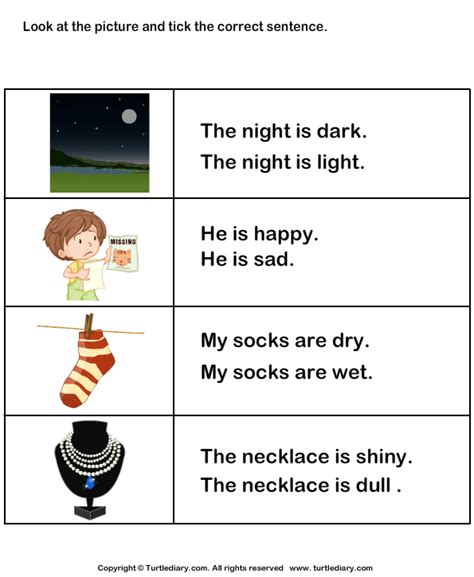 Perusal synonyms, perusal pronunciation, perusal translation, english dictionary usage note: Sentence using Adjectives about the Picture Worksheet ...
