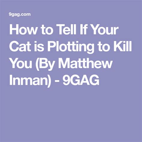 How To Tell If Your Cat Is Plotting To Kill You By Matthew Inman