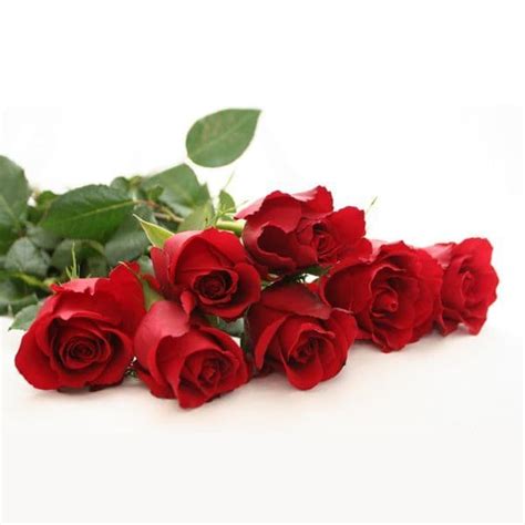 Bouquet Of 15 Red Roses 15