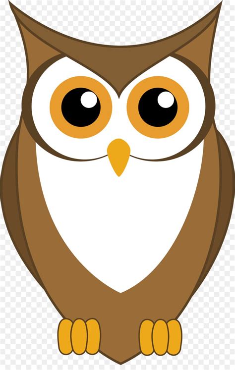 Drawing Now Cat Drawing Owl Png Owl Clip Art Owl Kids Owl Vector