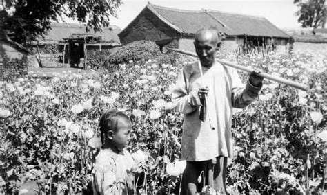 Chinas Anti Opium Policy Fields Of Beautiful But Deadly Poppies Are Gone Archive 1911