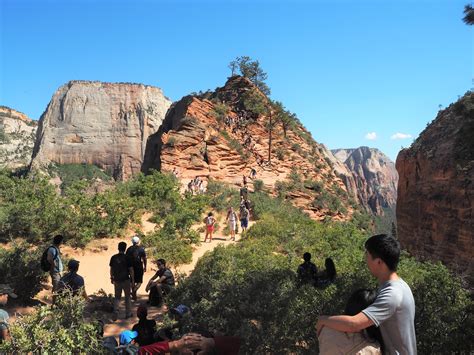 Angel's Landing Hike: A Complete Guide - Life Beyond Home