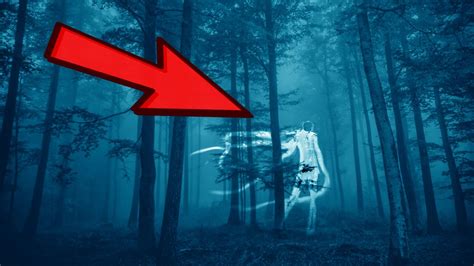 Nestled in southwestern germany and bordered by the rhine river, the black forest's tall evergreens are as beautiful as they are sinister, and said to be home to paranormal. 10 Most Haunted Forests to Avoid - YouTube