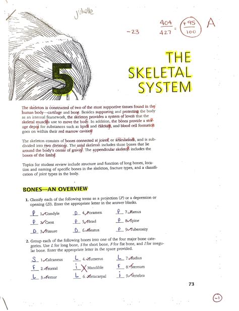 Biol 2320 Chapter 5 The Skeletal System Exam Copy Biol 2320 Studocu