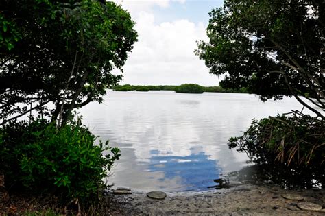 Maybe you would like to learn more about one of these? St. Petersburg Madeira Beach KOA - Florida