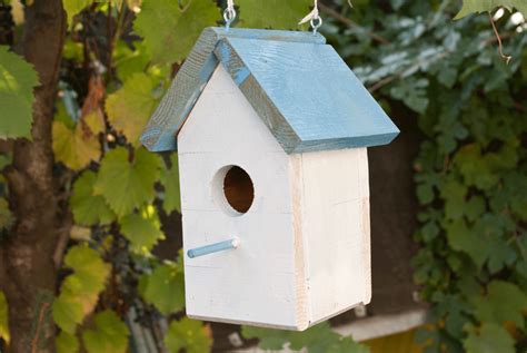 To add the beauty of birds to your yard, build your own from our collection of over 50 free bird house and bird feeder woodcraft plans. How to build a bird house | HowToSpecialist - How to Build ...
