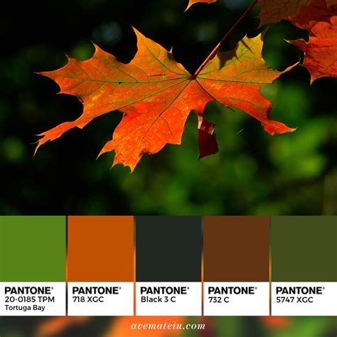 Autumn Leaves Pantone Color Palette 346 Nature Color Palette Autumn