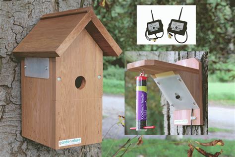 Wireless Camera Nest Box And Feeder Gardenature