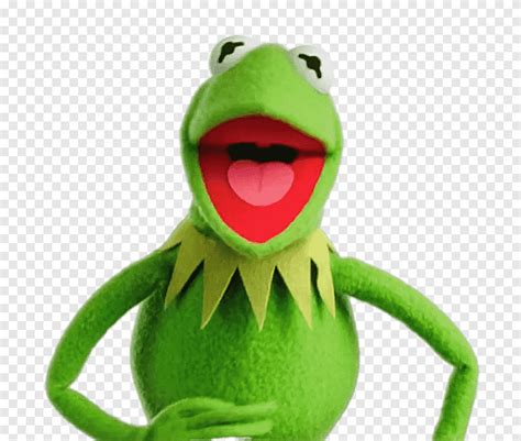 Kermit La Rana Señorita Alcancía Los Muppets El Espectáculo De Muppets