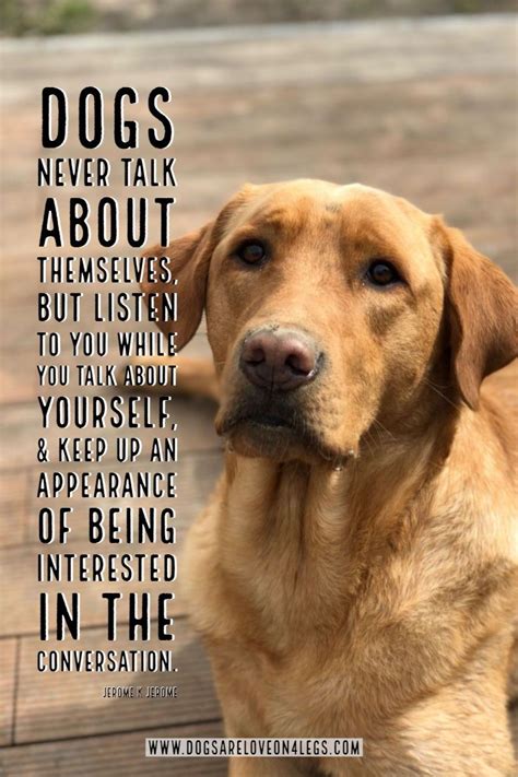 12 Inspirational Quotes For Dogs Best Quote Hd