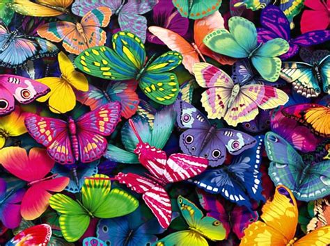 Fantastic Butterfly Screensaver Animated Wallpaper