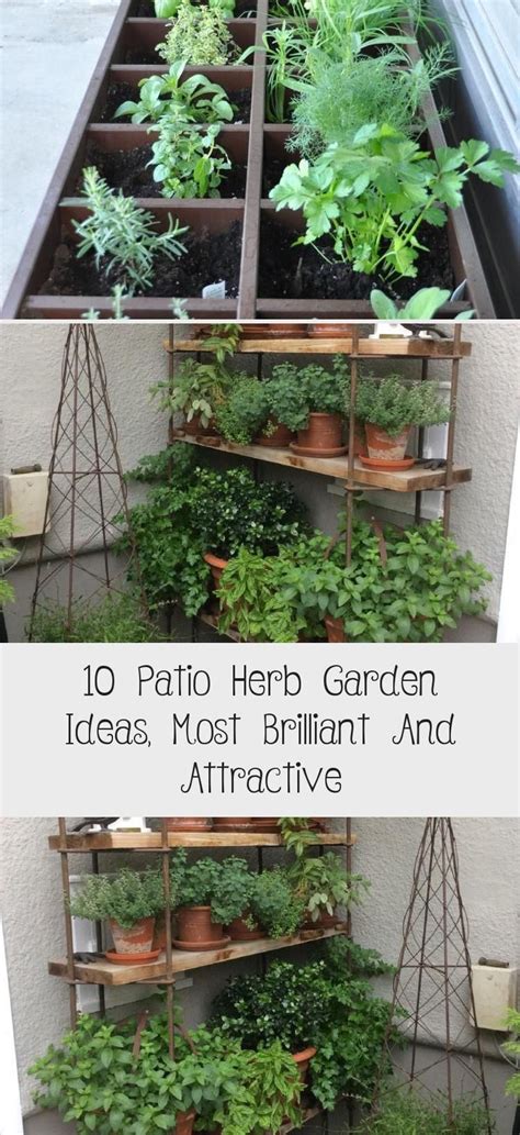 10 Patio Herb Garden Ideas Most Brilliant And Attractive Patio Herb
