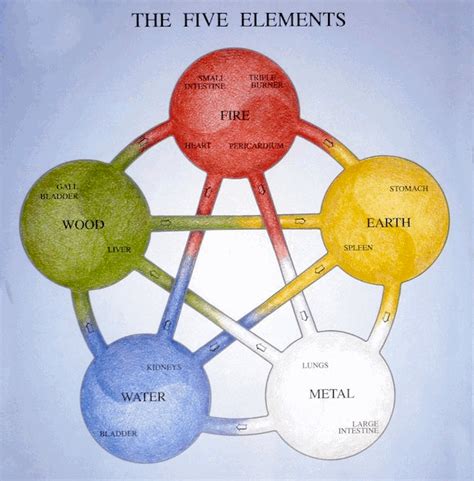 Introduction To Five Elements South Scarborough Acupuncture
