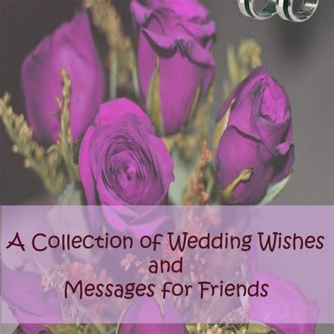 Short Wedding Wishes Quotes What To Write In A Wedding Card Funny