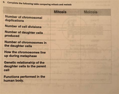 Comparing Mitosis And Meiosis Worksheet Worksheet My XXX Hot Girl