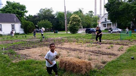Greater lansing food bank (glfb) addresses emergency food needs in the greater lansing area. Garden Project - Greater Lansing Food Bank