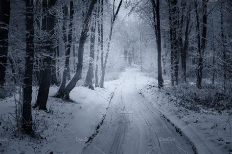 Road Through Cold Misty Winter Woods Winter Wood Winter Forest Cold