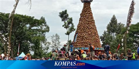 Ribuan Wisatawan Berebut Durian Di Kenduren Wonosalam Jombang 4 Orang