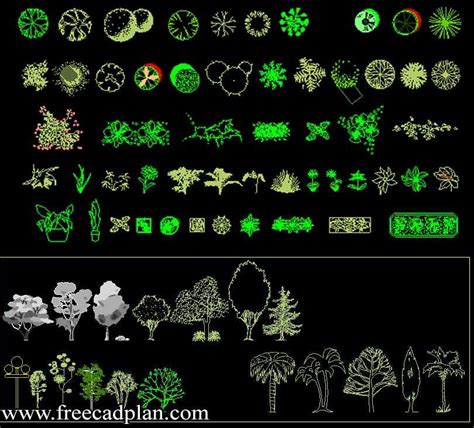 Free cad blocks of vegetation. Trees and Plants CAD Block for autocad - dwg download ...
