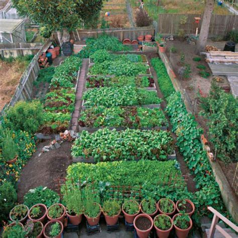 Top Gorgeous 15 Urban Gardening Ideas For Your Backyard