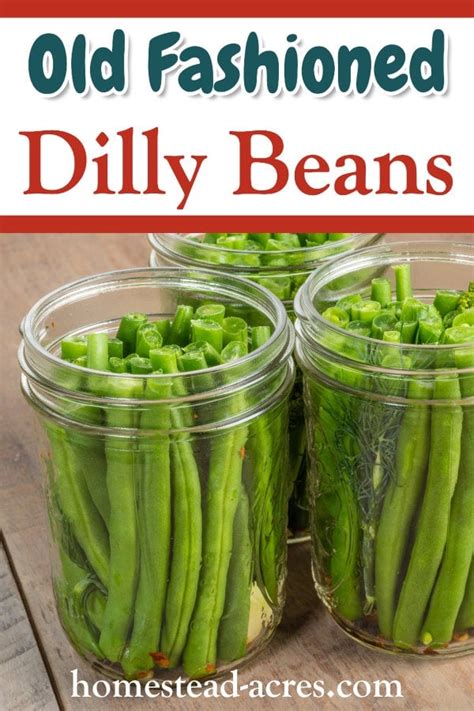 Pickled Beans How To Make Dilly Beans Recipe Canning Beans