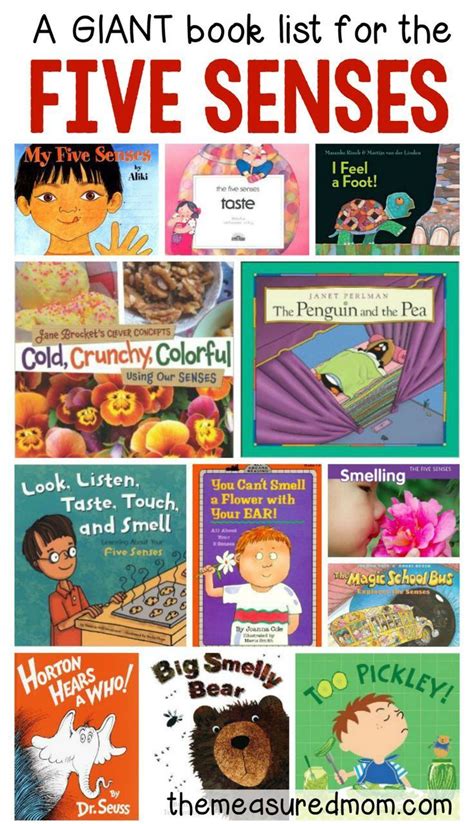 Books About The Five Senses Senses Preschool My Five Senses Senses